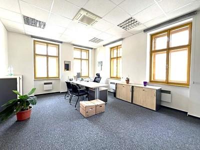 Pronájem komerčního prostoru, 273 m² (2 z 30)