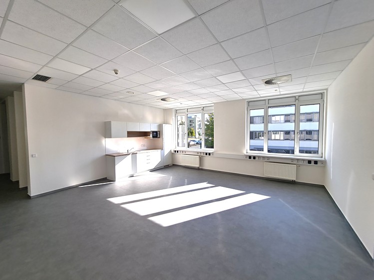 Gewerbefläche zur Miete, 251 m² (5 von 7)