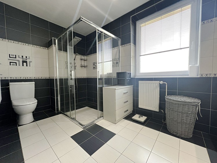 Prodej domu, 600 m² (26 z 35)