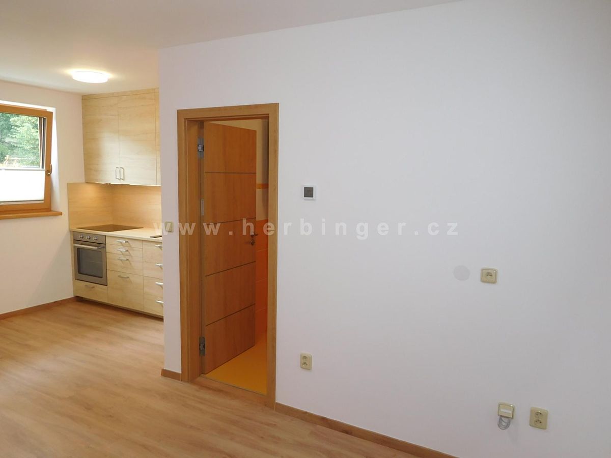 Pronájem bytu 1+kk 23 m²