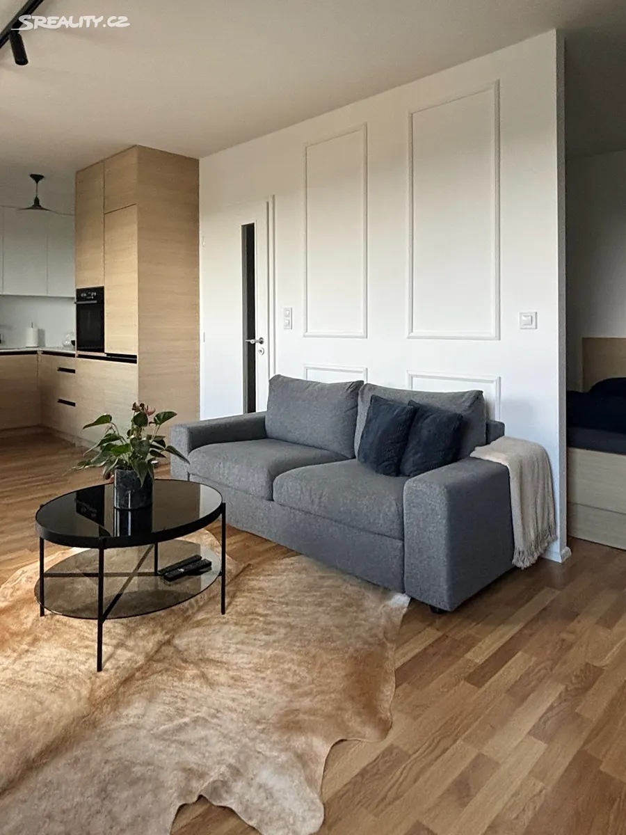 Pronájem bytu 1+kk 47 m² – pohled 3