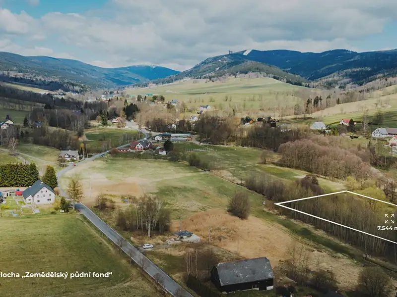 Prodej pole 6487 m², Dolní Morava – náhled fotky 1