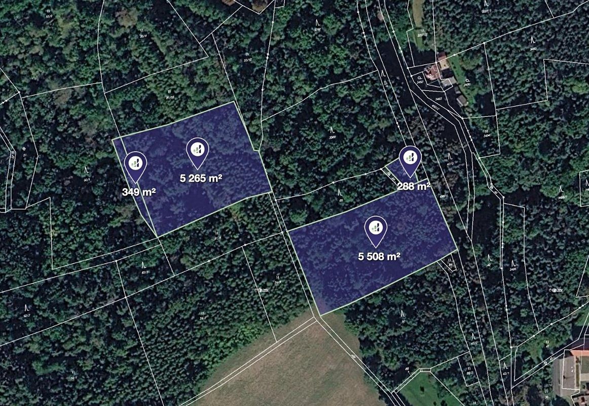 Prodej lesa 11410 m²