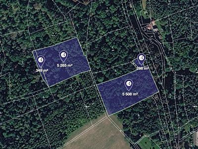 Prodej lesa 11410 m²