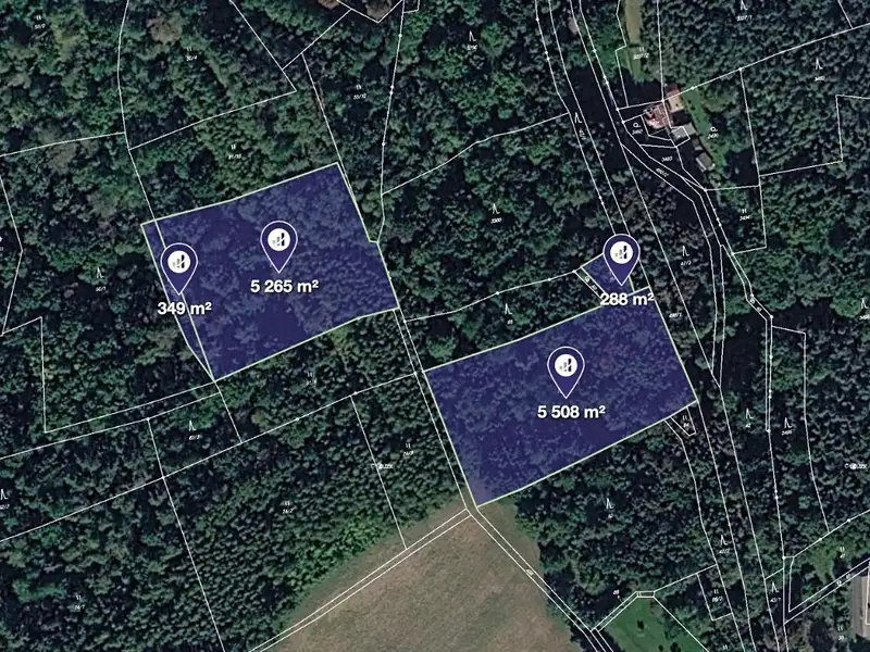 Prodej lesa 11410 m², Úštěk – náhled fotky 1