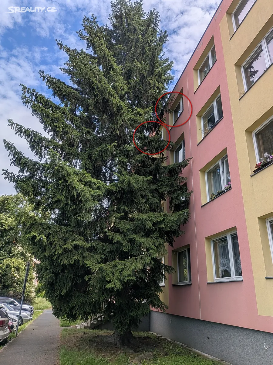 Prodej bytu 4+kk 68 m² - Widok 2