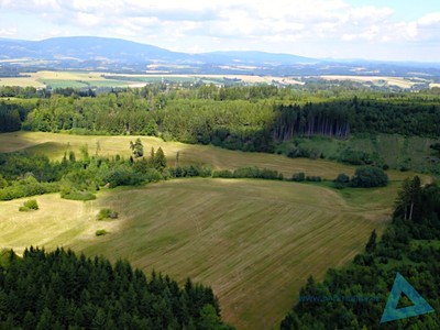 Prodej  louky 24 781 m²