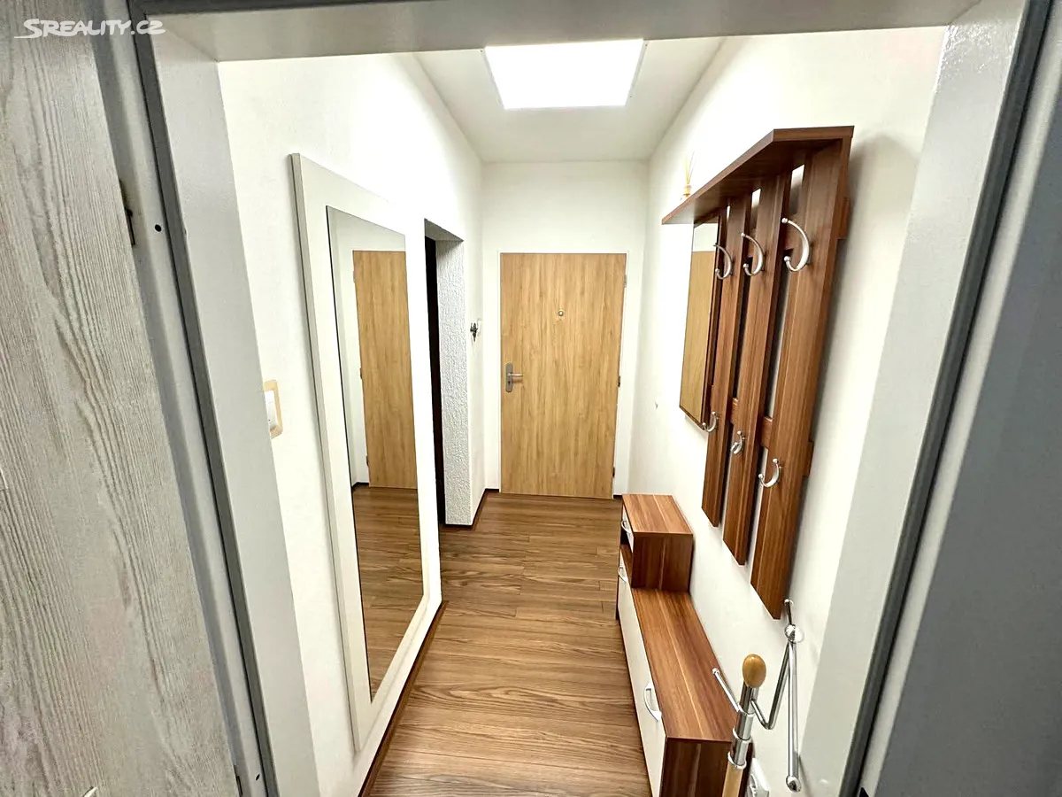 Pronájem bytu 1+kk 40 m² - Widok 6