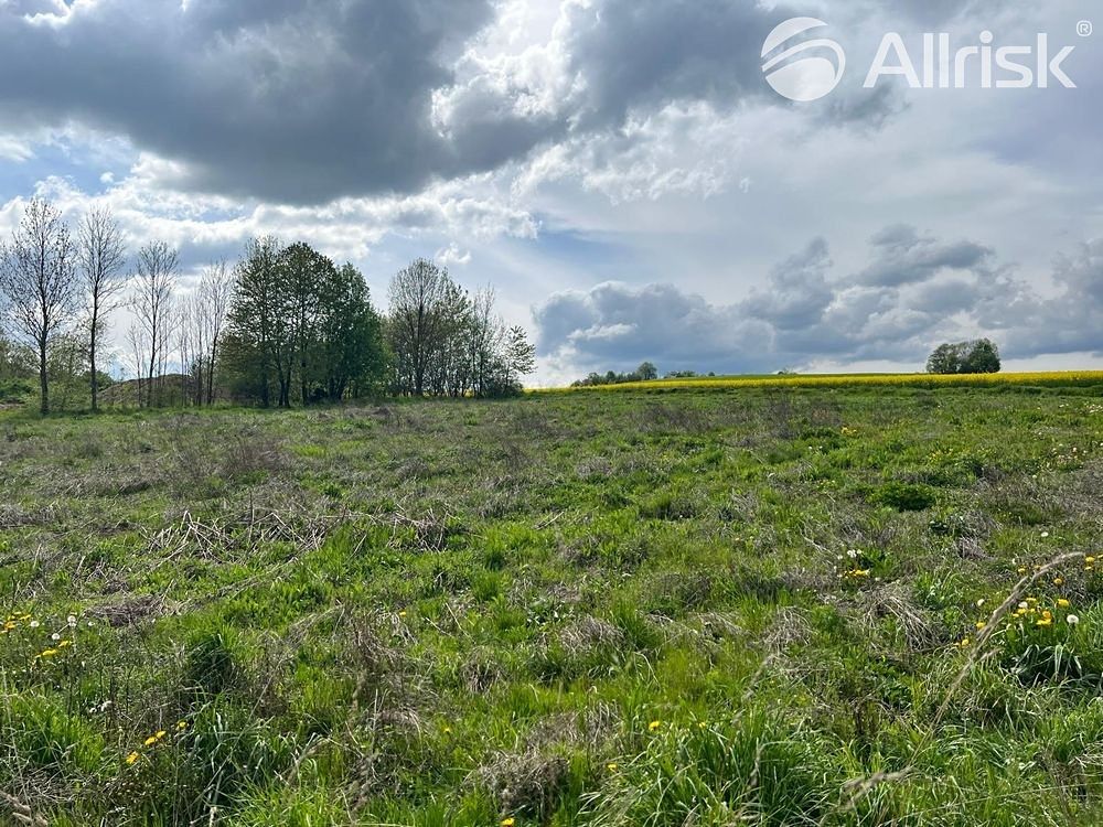 Prodej stavebního pozemku 3978 m² – fotografie 2