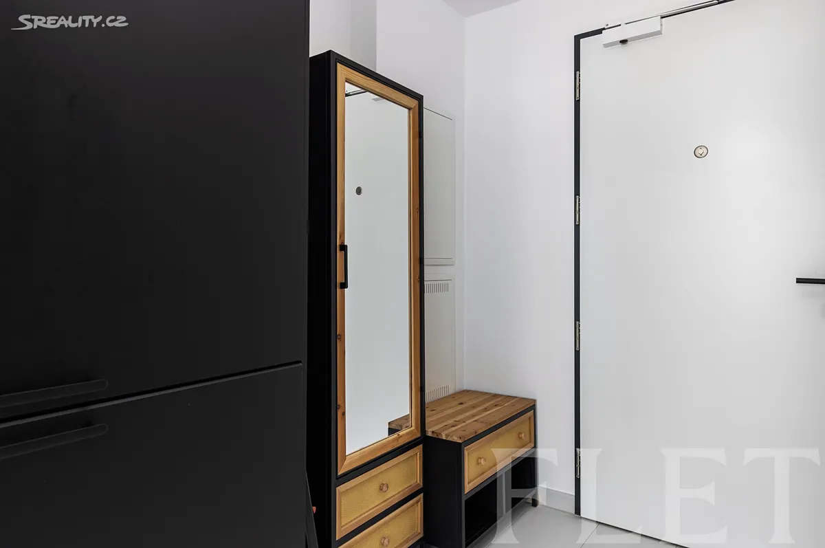 Pronájem bytu 1+kk 30 m² – další