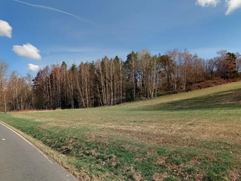 Prodej louky 22911 m², Hošťka – náhled fotky 3