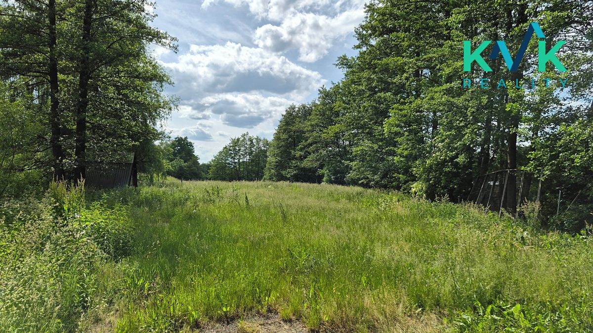 Pronájem zahrady 3000 m² – fotografie 3