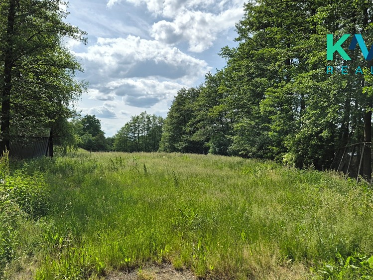 Pronájem pozemku, 3 000 m² (3 z 8)