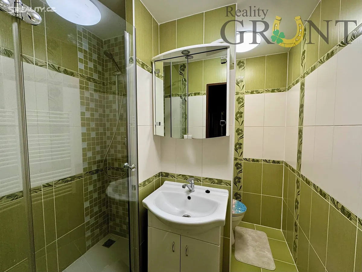Pronájem bytu 2+1 44 m² – další