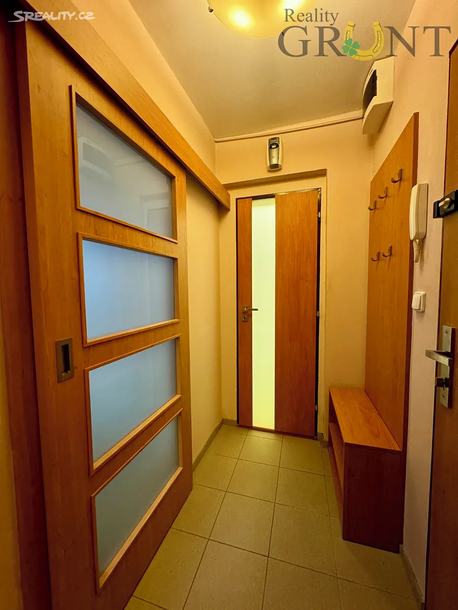 Pronájem bytu 2+1 44 m² – pohled 4