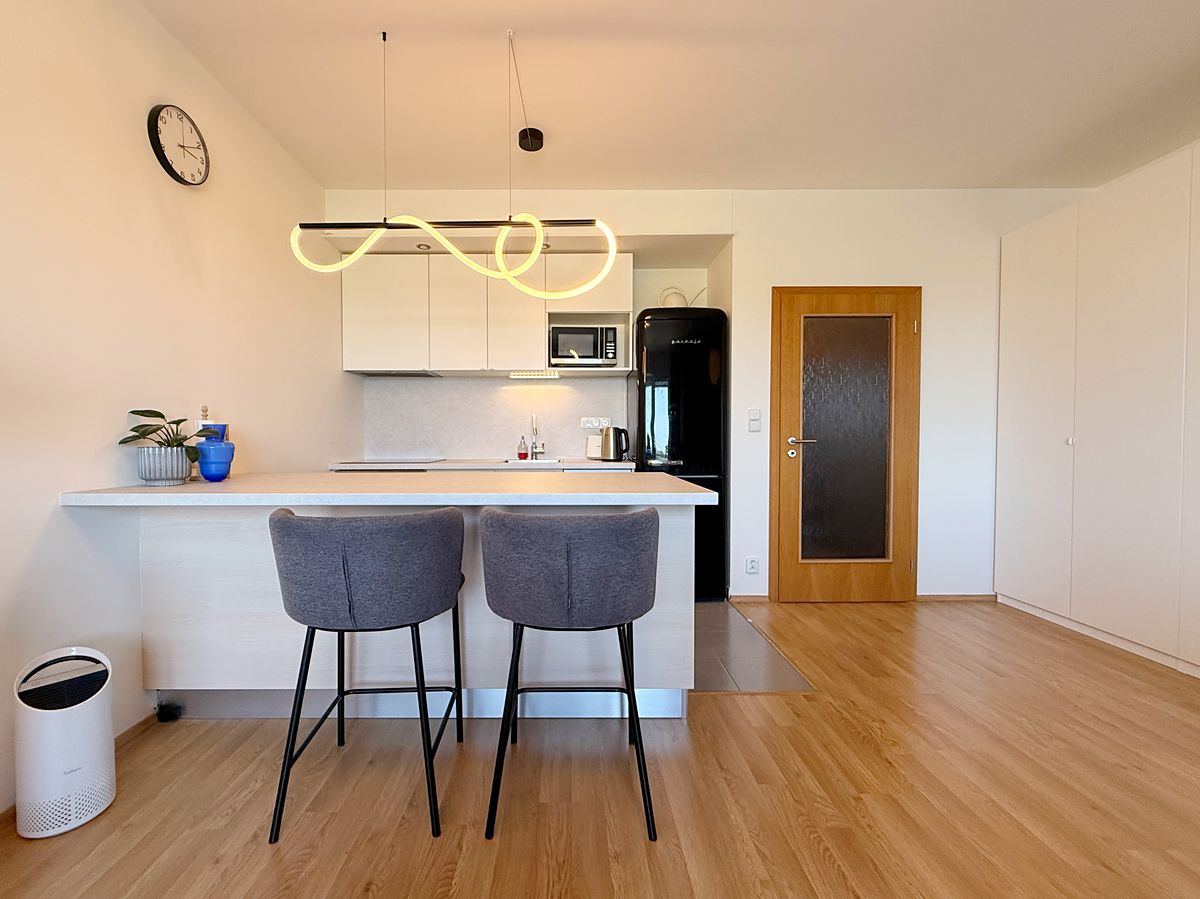 Pronájem bytu 1+kk 43 m²