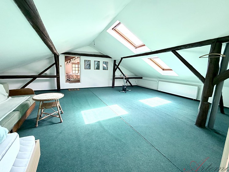 Haus zum Kauf, 400 m² (16 von 20)