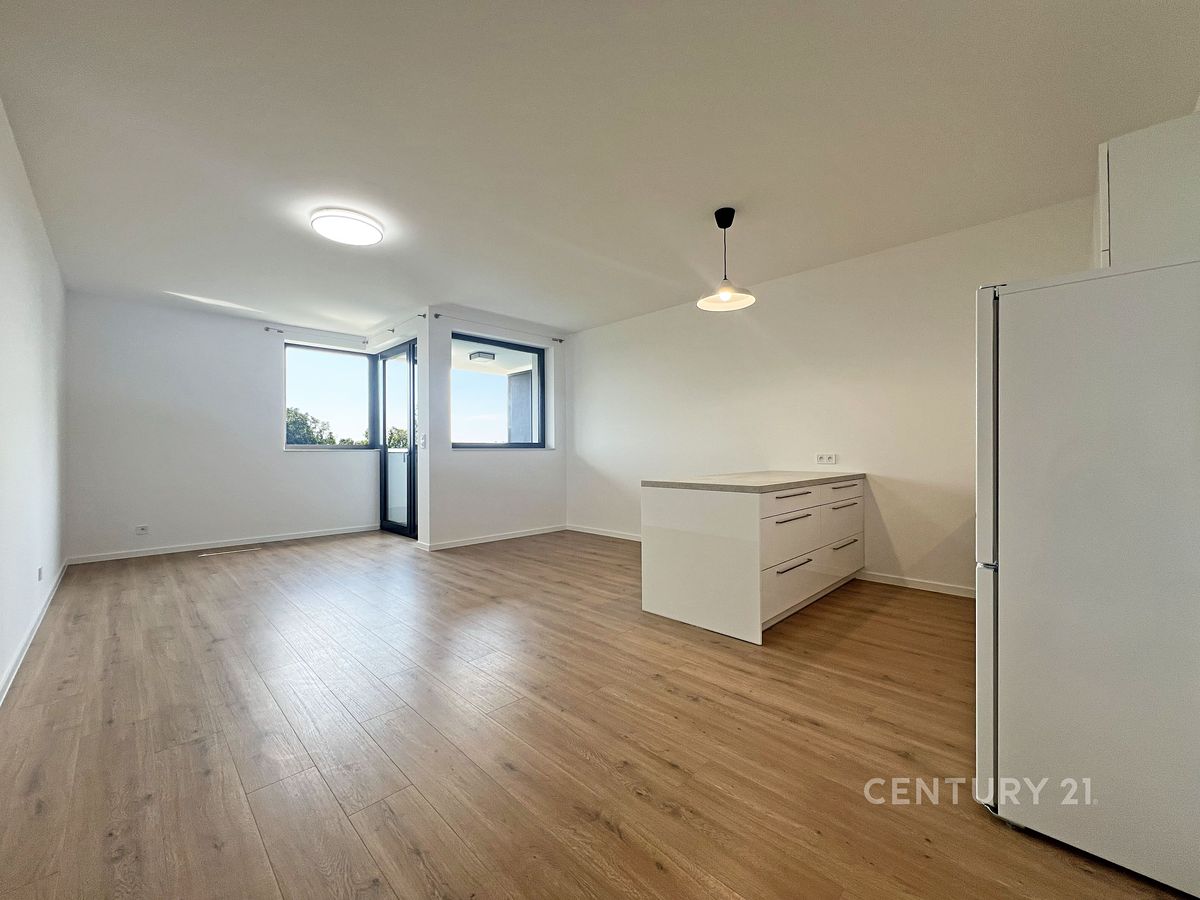 Pronájem bytu 1+kk 44 m²
