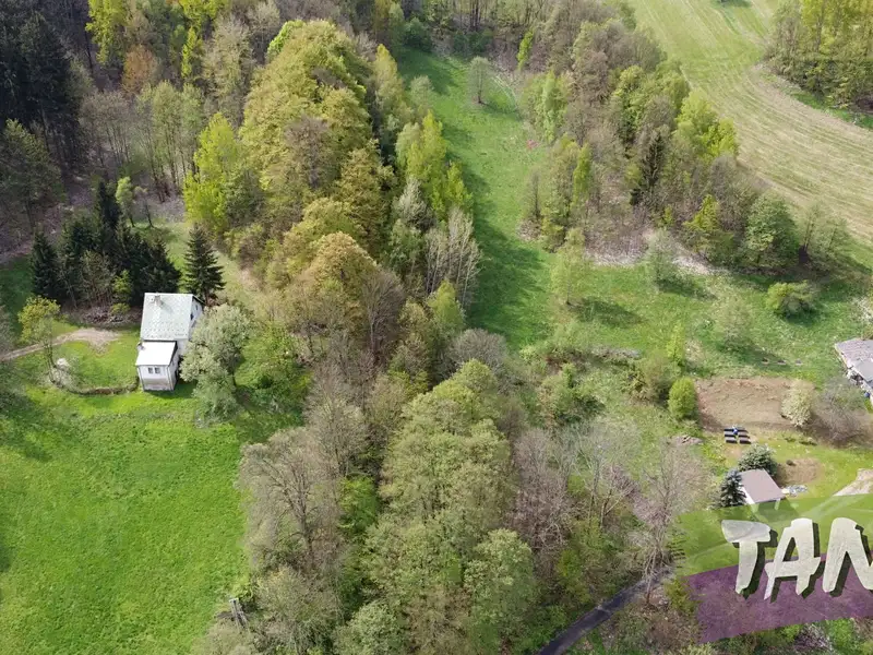 Prodej stavebního pozemku 11509 m², Mladé Buky – náhled fotky 1