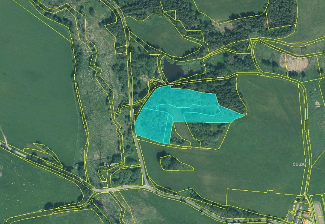 Prodej louky 22911 m², Hošťka – fotka 1 z 3