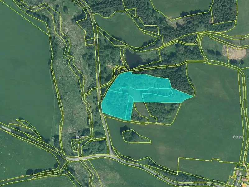Prodej louky 22911 m², Hošťka – náhled fotky 1