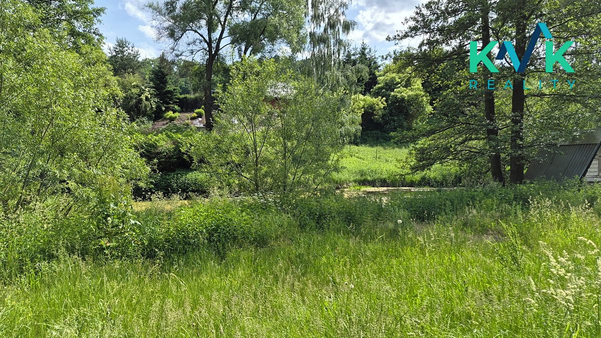 Pronájem zahrady 3000 m² – fotografie 2