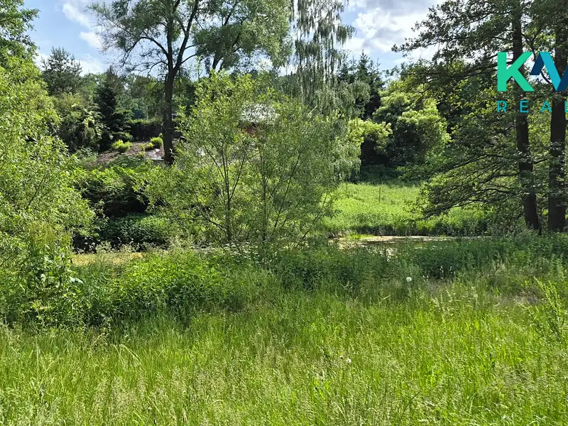 Pronájem zahrady 3000 m², Sadov – náhled fotky 2