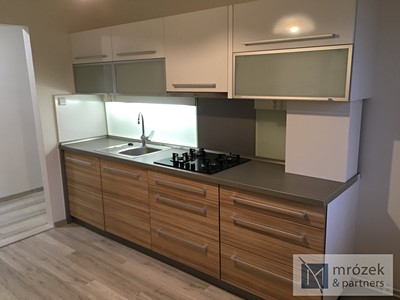 Pronájem bytu 1+1 47 m²