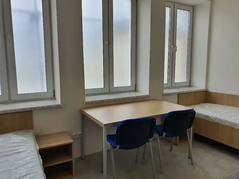Pronájem bytu pokoje 16 m², Plzeň – náhled fotky 2