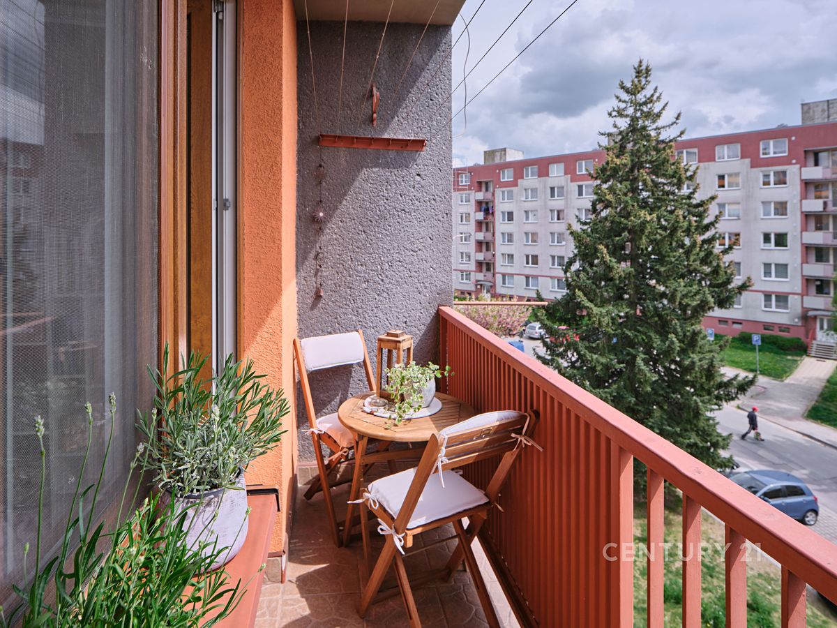 Pronájem bytu 3+1 73 m² – fotografie 5