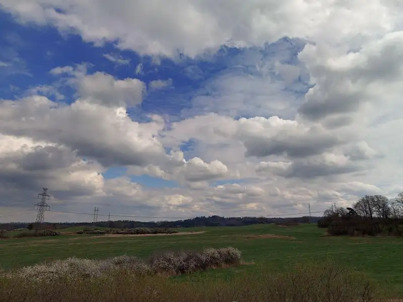 Prodej pole 19682 m², Předotice – náhled fotky 3