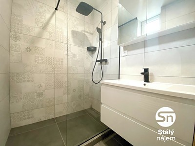 Pronájem bytu 1+1 48 m²