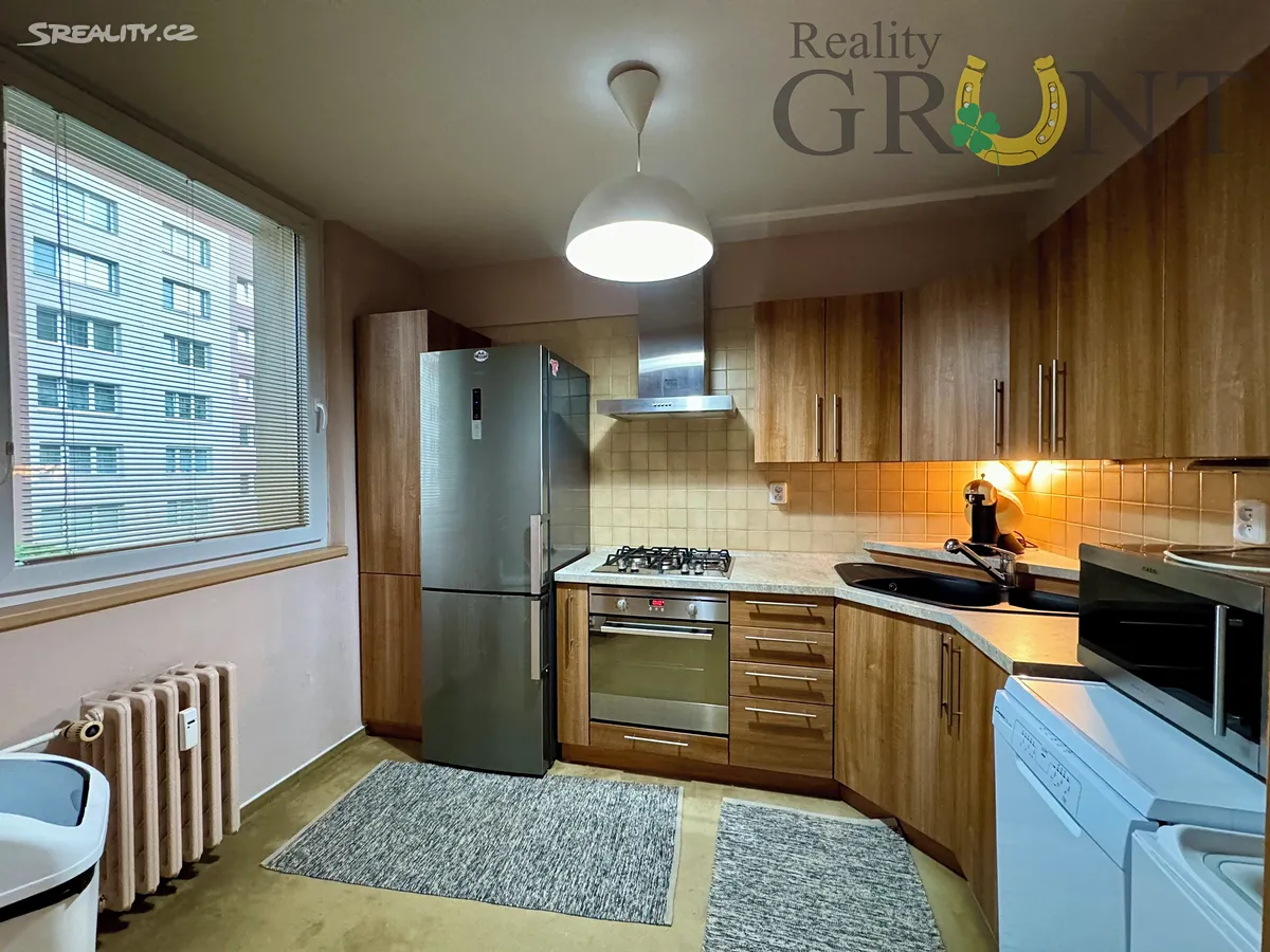 Pronájem bytu 2+1 44 m² – pohled 2