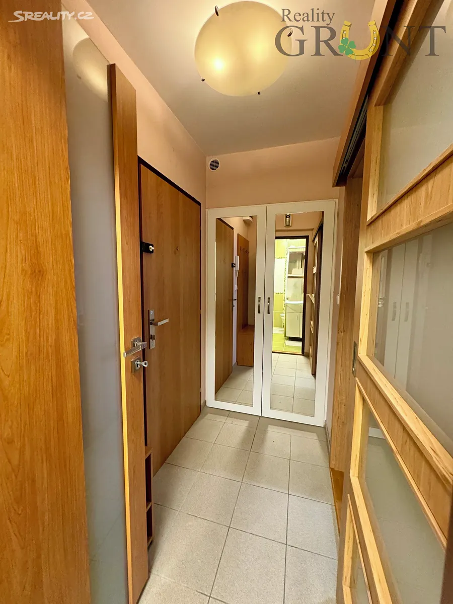 Pronájem bytu 2+1 44 m² – pohled 5