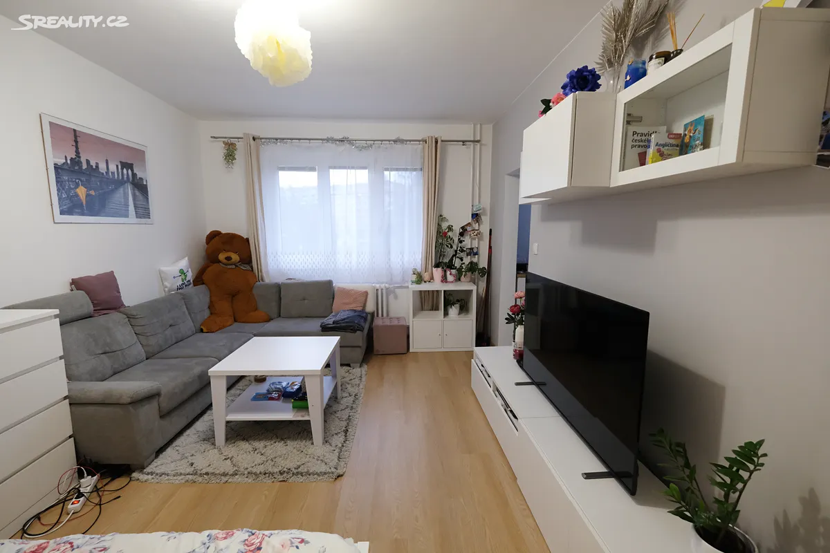 Pronájem bytu 1+1 38 m² – pohled 6