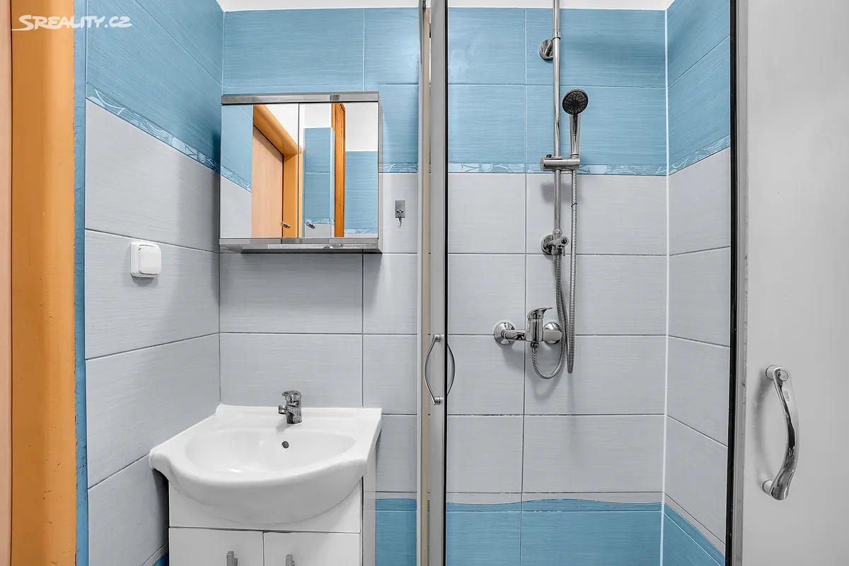 Pronájem bytu 2+1 51 m² – pohled 5