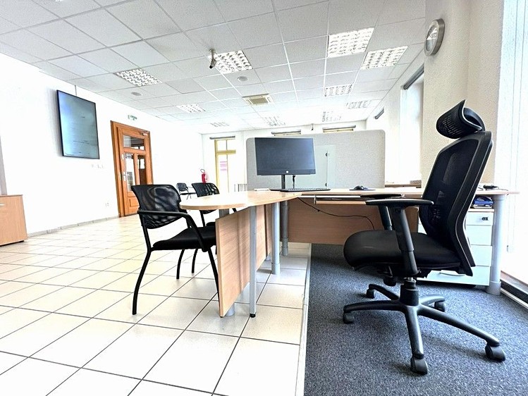 Pronájem komerčního prostoru, 273 m² (8 z 30)