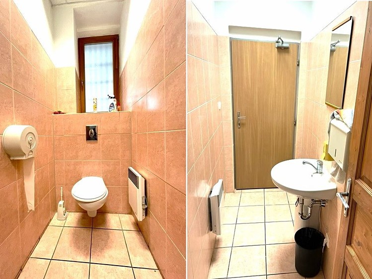 Pronájem komerčního prostoru, 273 m² (19 z 30)