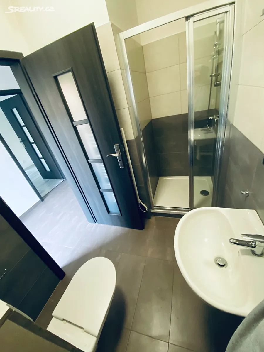 Pronájem rodinného domu 120 m², pozemek 335 m² – další