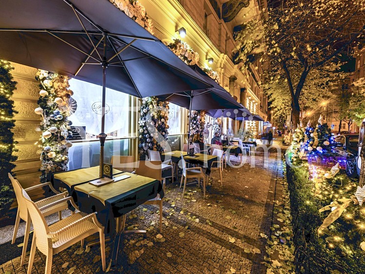 Pronájem komerčního prostoru, 225 m² (12 z 29)