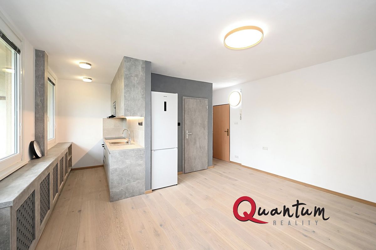 Pronájem bytu 1+kk 36 m²