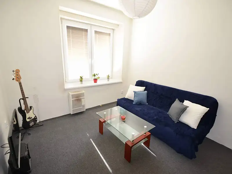 Prodej bytu 2+1 52 m², Plzeň – náhled fotky 1