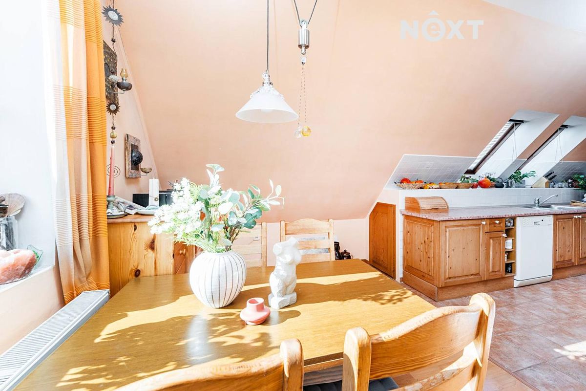 Prodej rodinného domu 425 m², pozemek 935 m² – fotografie 4