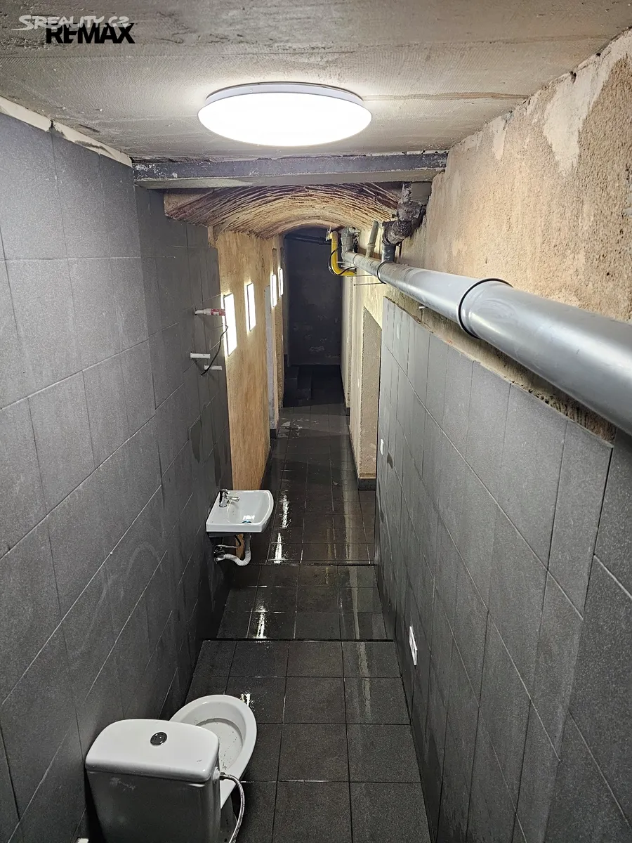 Pronájem obchodního prostoru 110 m² – další