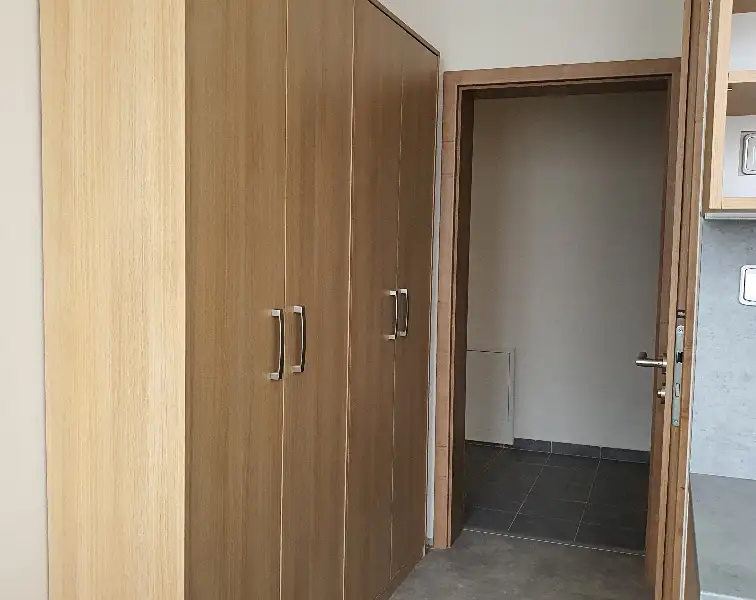 Pronájem bytu pokoje 16 m², Plzeň – náhled fotky 3