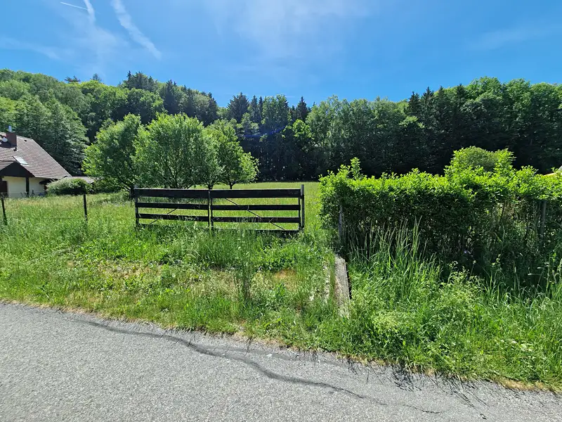 Prodej stavebního pozemku 3894 m², Hrubá Skála – náhled fotky 3