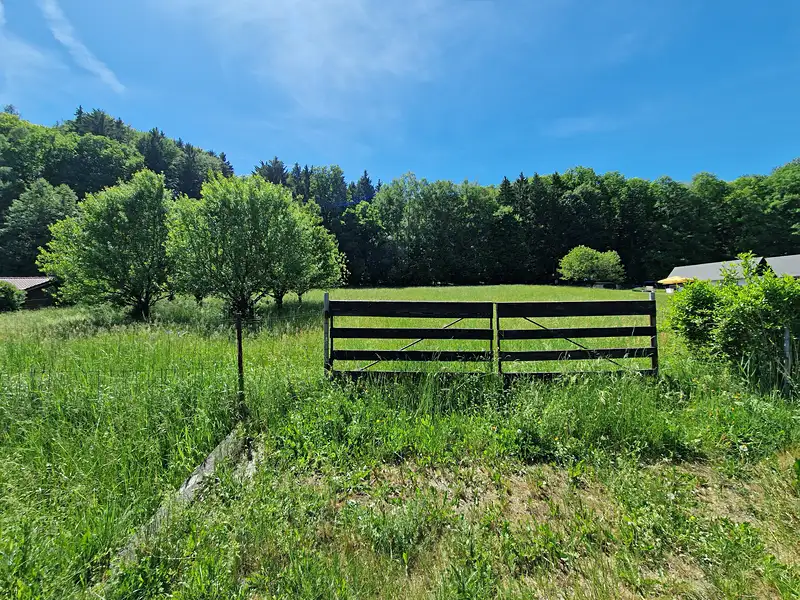 Prodej stavebního pozemku 2156 m², Hrubá Skála – náhled fotky 3