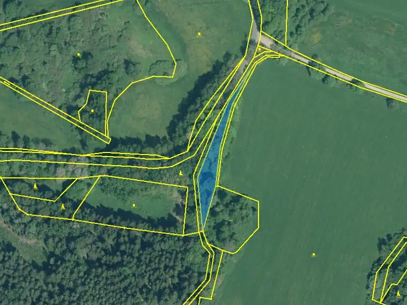 Prodej louky 17233 m², Dlouhý Újezd – náhled fotky 3