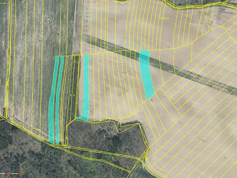 Prodej pole 32947 m², Merklín – náhled fotky 1