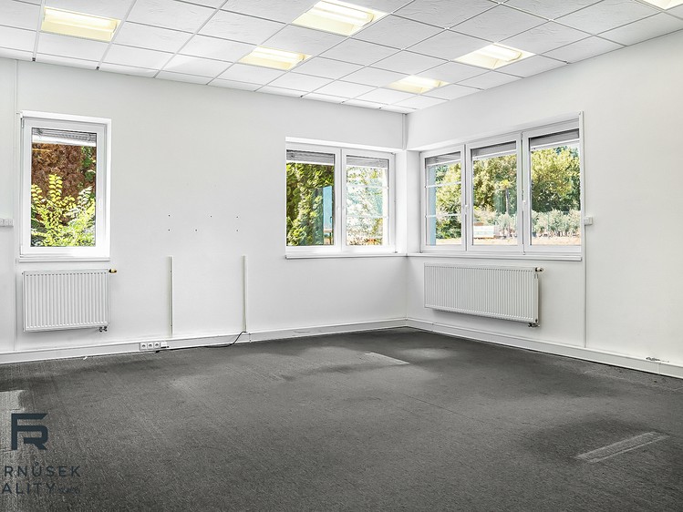 Pronájem komerčního prostoru, 6 941 m² (28 z 29)